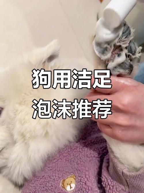 狗狗可不可以每天洗脚