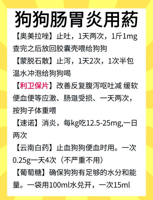 狗狗肠胃炎好转可以吃什么?