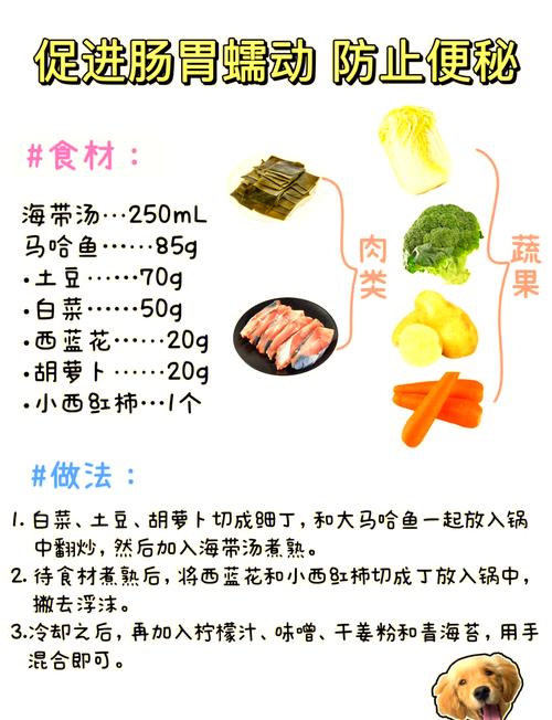 肠胃炎的狗狗可以吃什么早上带它去打了三针,它一直在找东西吃,可以