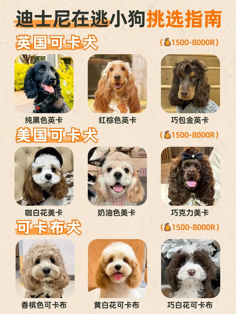 最贵的狗狗品种排名