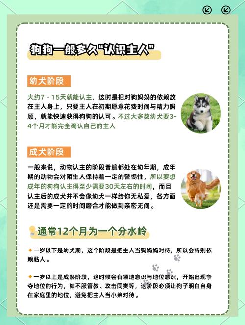 怎样让狗认新主人