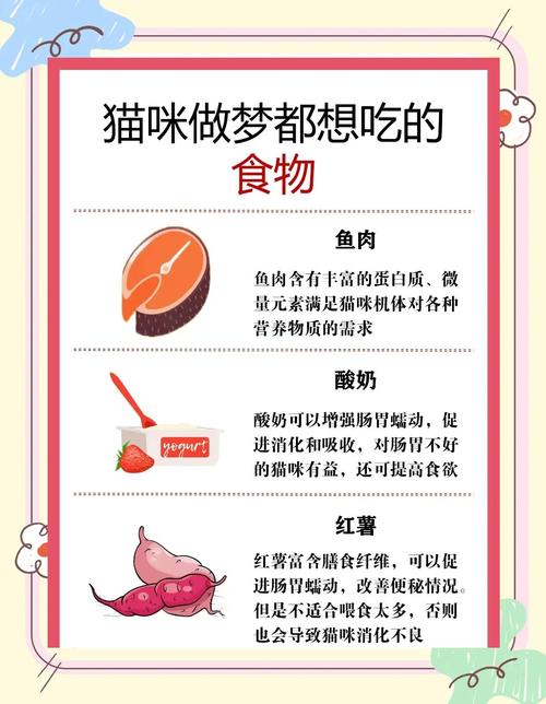 猫最爱吃的食物有哪些?