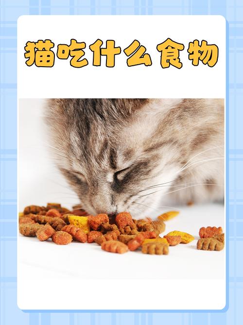 猫瘟后猫猫吃什么