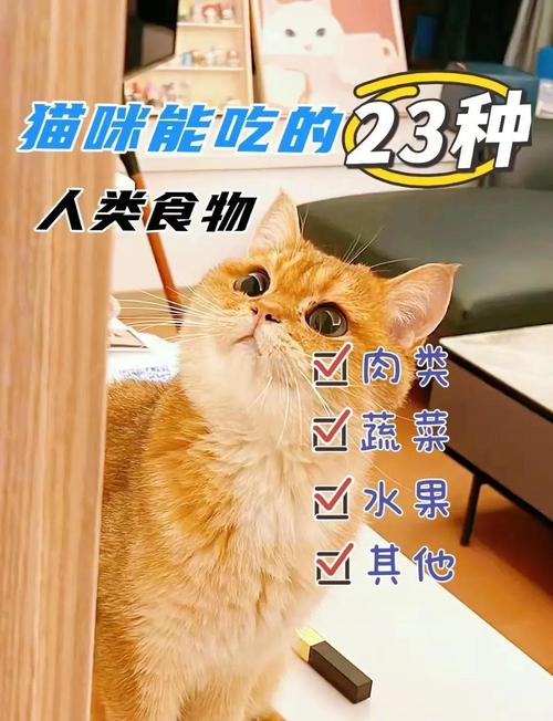 幼猫可以吃鸡胸肉吗?