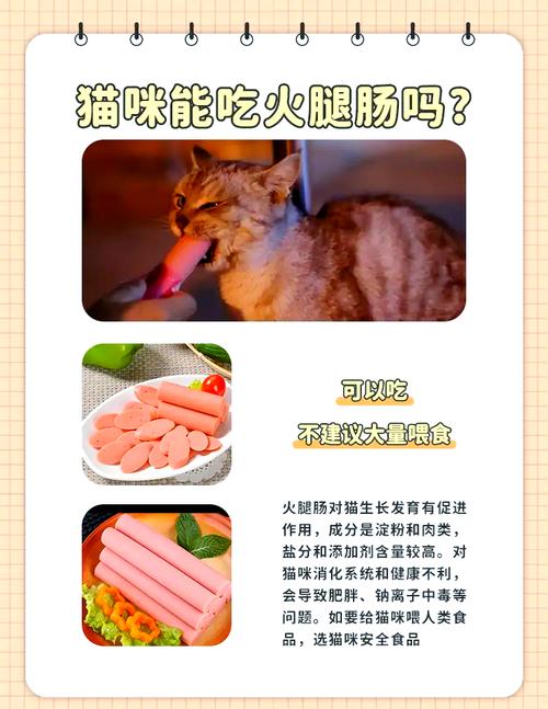 一个星期的猫咪可以吃香肠吗?