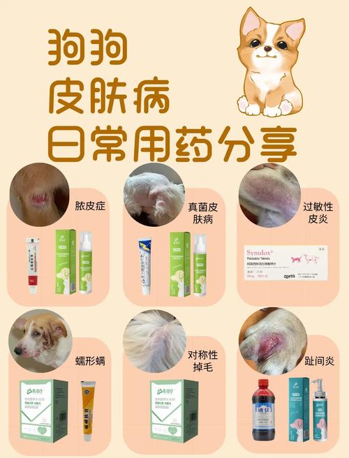 狗狗皮肤病用什么药