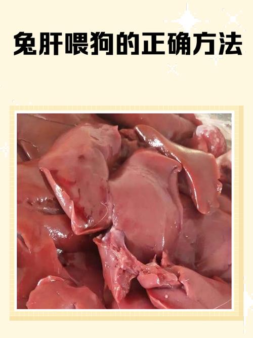 狗狗为什么爱吃动物肝脏