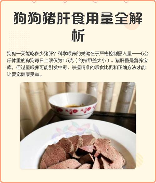 狗狗能吃动物肝脏吗