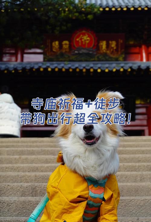 有给去世的狗狗念地藏经超度的吗