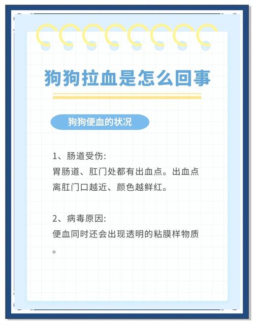 狗拉血是怎么回事要用什么药
