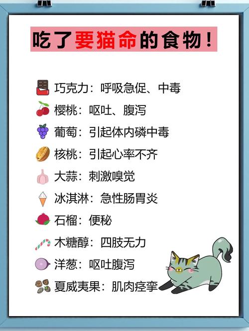 猫咪平时除了猫粮还要吃什么