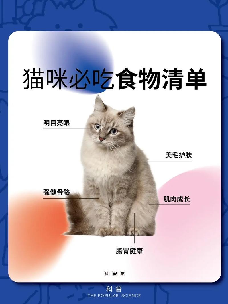 猫咪除了猫粮还能吃什么