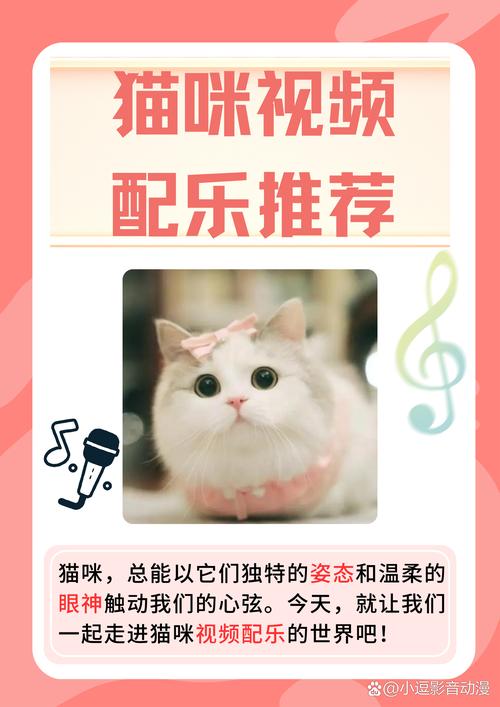 猫咪视频配乐推荐