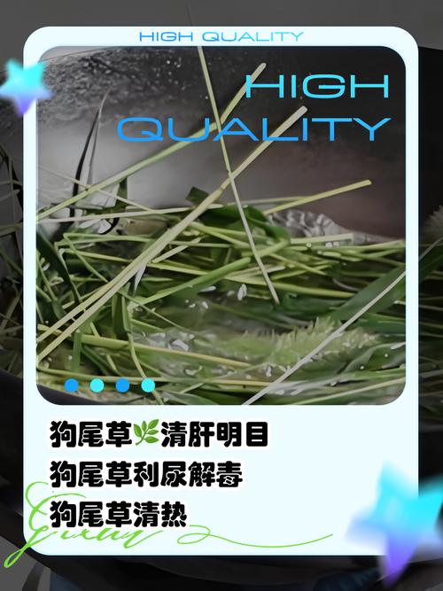 狗狗为什么不能吃黑豆