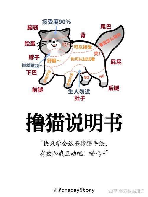 猫咪为什么不让你摸它的肚子