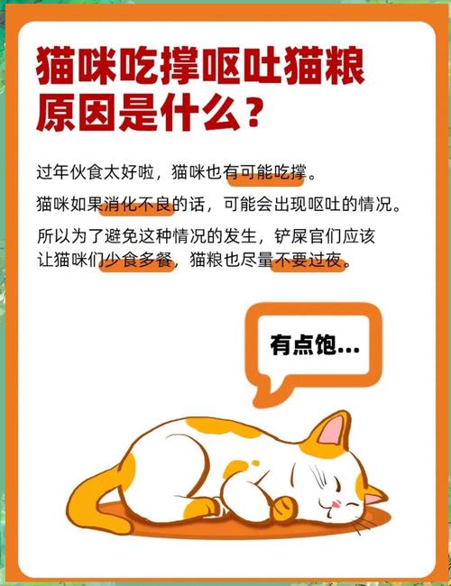 小奶猫吃多了会怎么样?