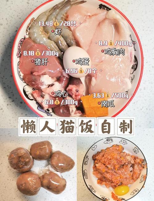 买不起猫粮给猫吃什么