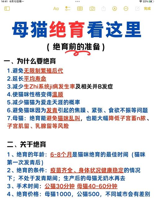 猫绝育前后有什么注意事项?