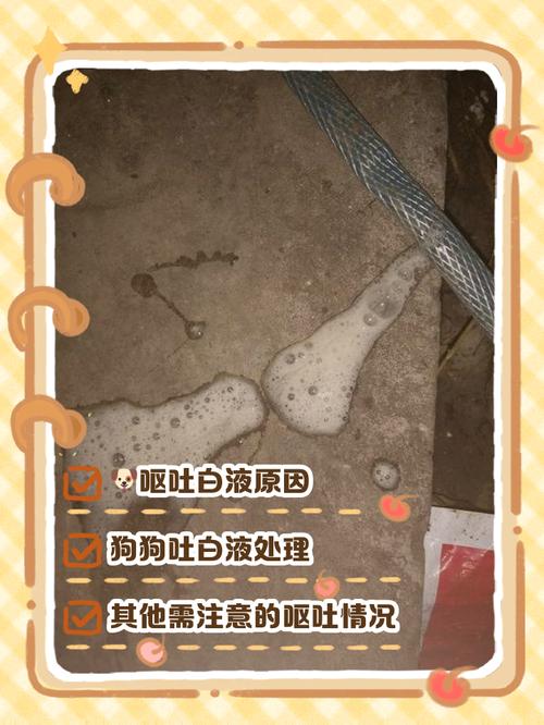狗狗吐白色粘液不进食没精神