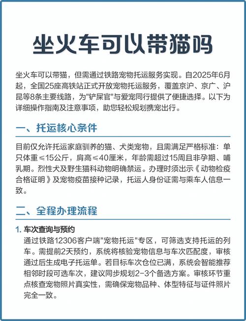 郑州高铁可以带猫咪吗