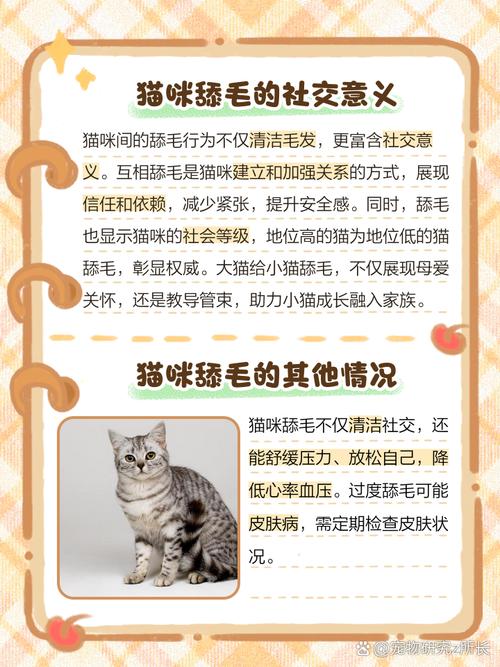猫主子在“养”两脚兽的6种表现