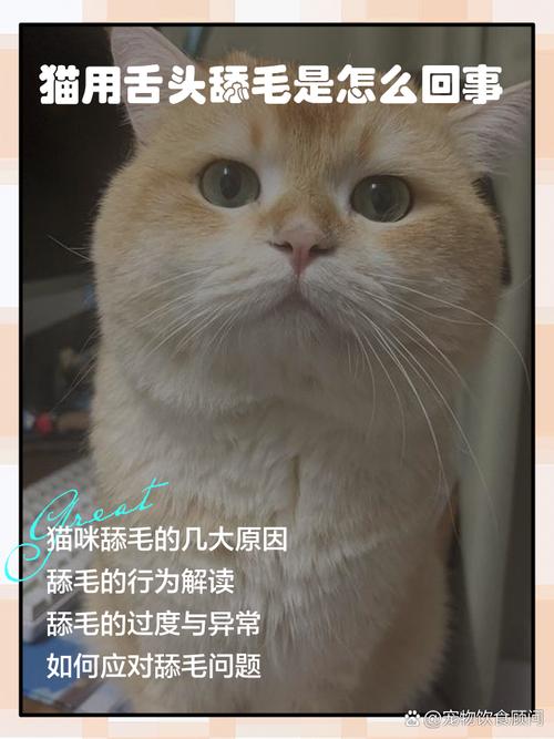 吸完猫它就舔毛是为什么?