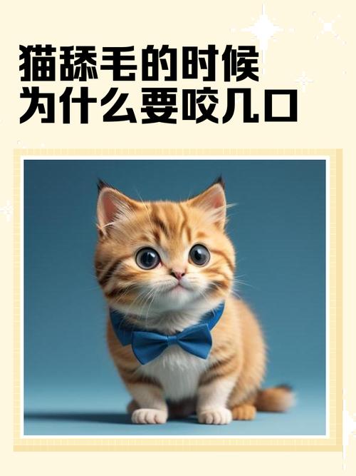 猫咪为什么喜欢舔毛