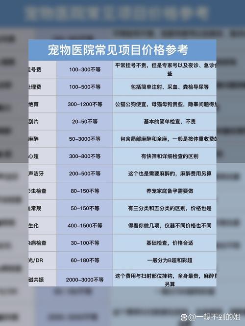 狗狗剖腹产的花费大吗?需要多少钱?