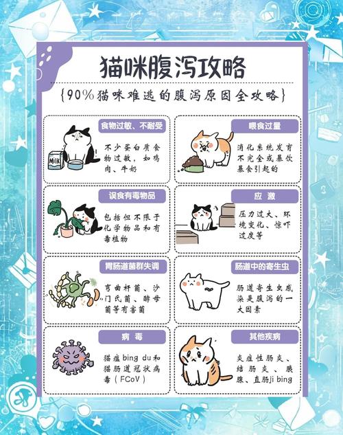 猫怀孕拉肚子怎么办