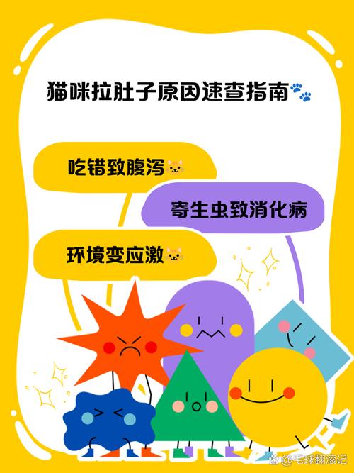 猫咪怀孕快生了拉肚子怎么办