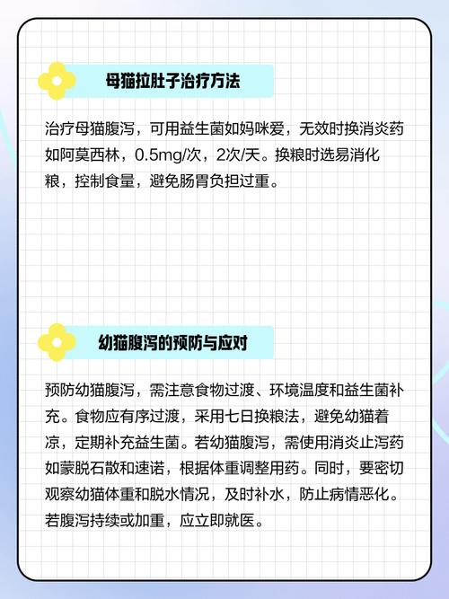 猫咪怀孕期间拉肚子怎么办