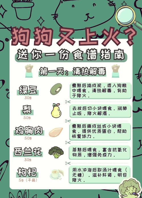 狗狗上火了吃什么降火狗狗上火怎么办最有效