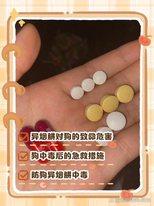 狗上火最怕三个药