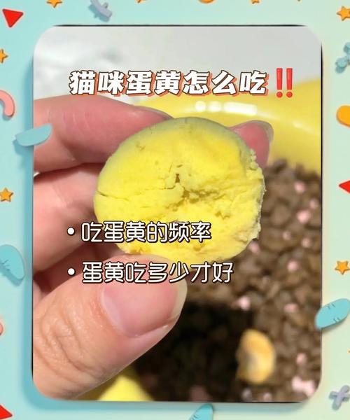 猫咪一周吃几个蛋黄合适