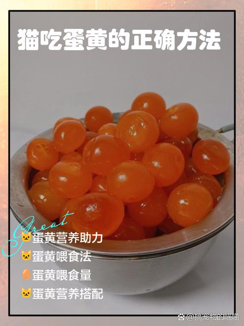 四个月小猫天天吃个蛋黄好么?