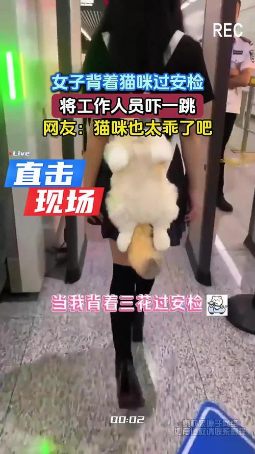 把猫咪带上火车过的了安检吗