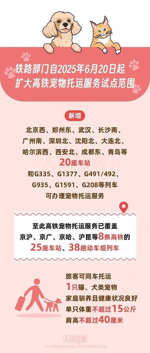 猫咪能带着上动车吗