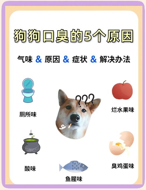 养狗必看,狗狗有口臭怎么办