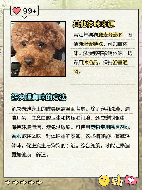 宠物都臭啦~夏季毛孩子臭味大扫除