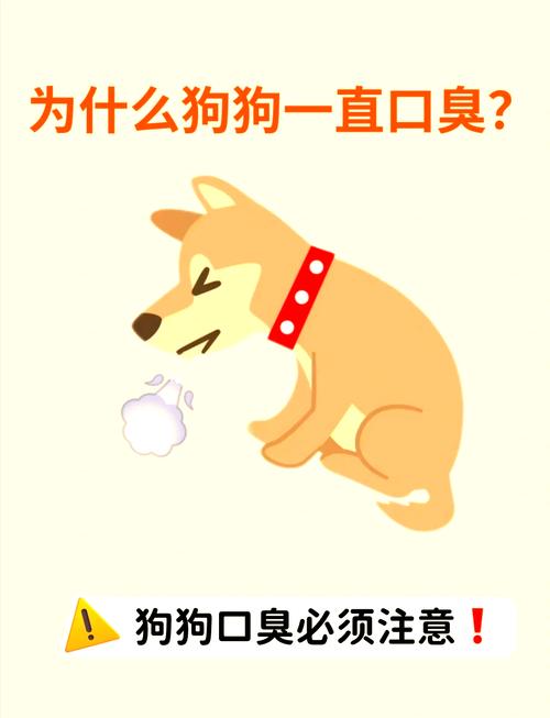 狗狗身上腥臭味很重是什么皮肤病