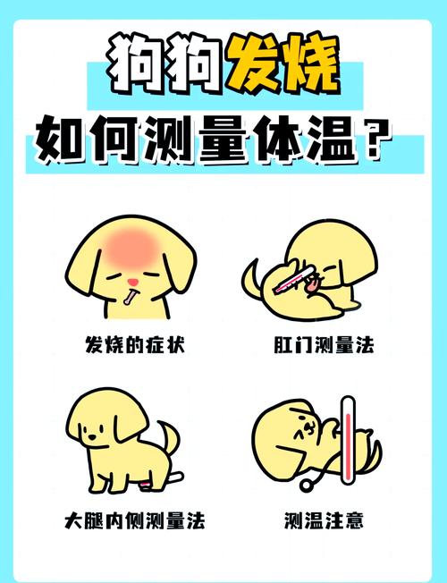 如何判断狗狗是否发烧
