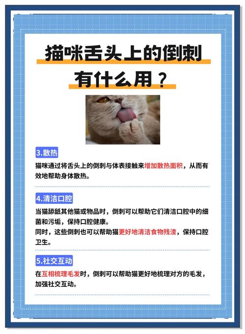 猫咪舌头上的倒刺,都有什么“特意功能”?