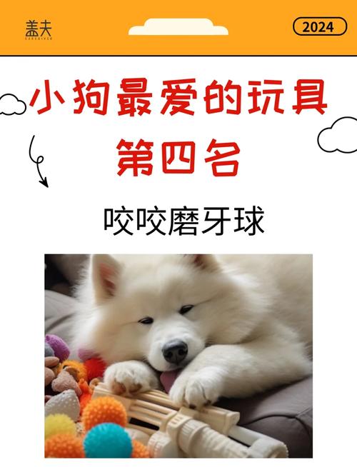 狗狗喜欢什么玩具