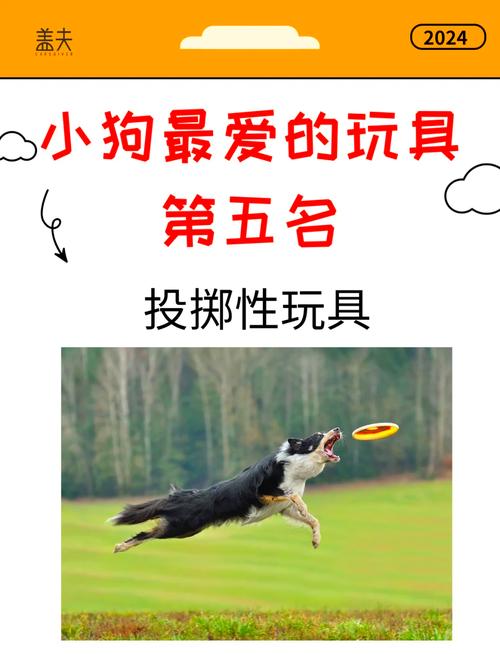 狗狗玩具怎么选取?可以推荐一些便宜耐用又安全的吗?