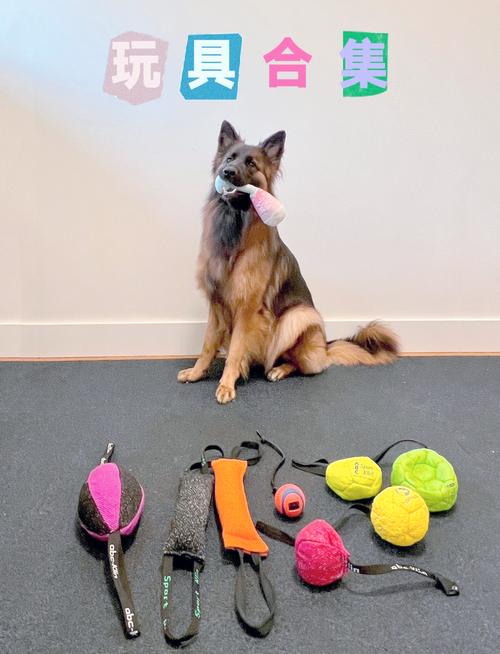 狗狗喜欢玩的玩具有哪些?