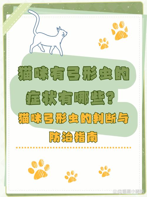 猫咪弓形虫病的症状