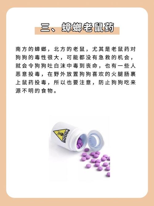 狗狗误食84多久有反应