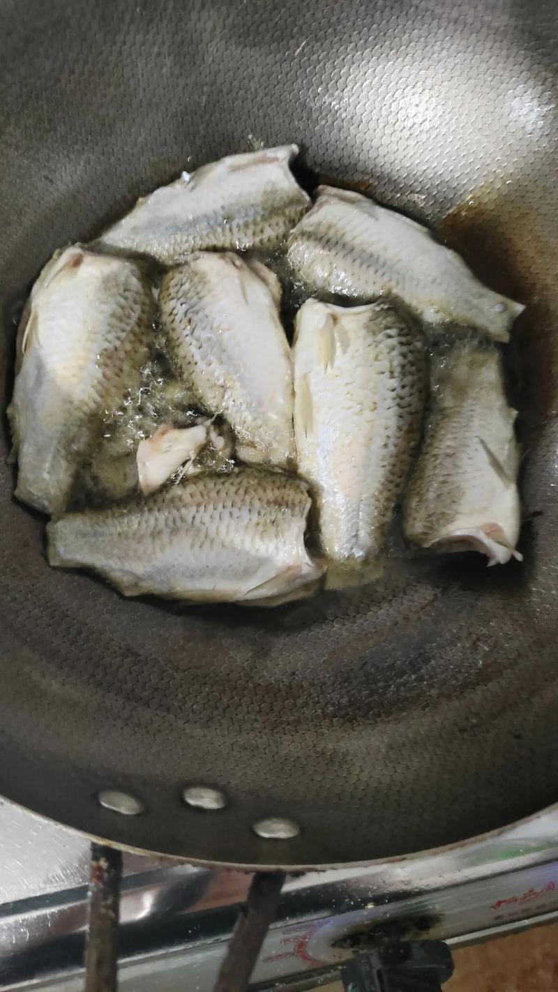 什么鱼狗狗不能吃