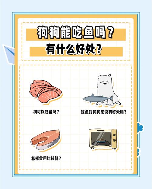 狗能不能吃哪些鱼类