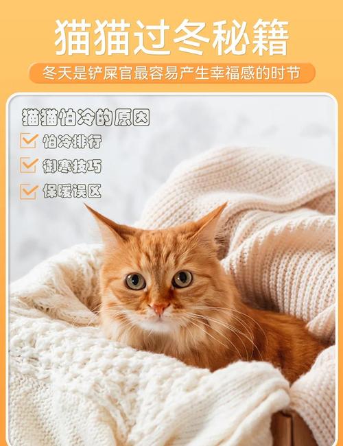猫冬天怕冷怎么办